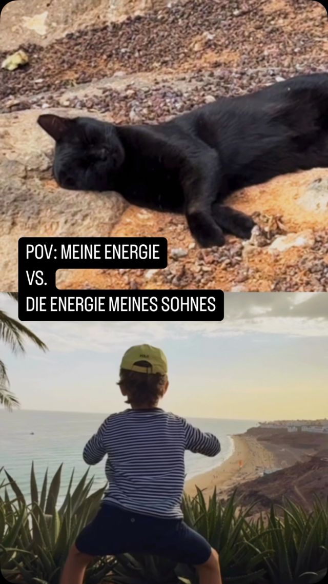#werkennts
.
Mich hat ein kleiner Infekt in den Kopfschmerz Schlappi Modus befördert. Schön, dass es dem Spatz gut geht. Uns allerdings auf einen Vibe zu bringen, gelingt leider nur mäßig😂 Kennst du das auch?
.
#lustigereels #fun #lazycat #dancingboy #funnyreels #neverstoplaughing